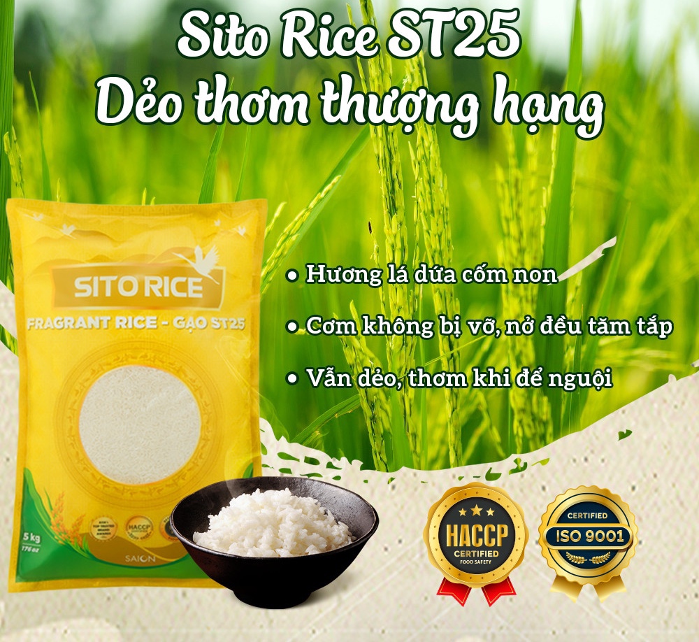 Gạo SITO RICE